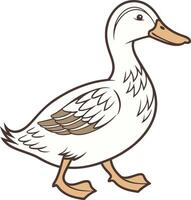 A cartoon duck on a white background vector