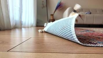 Rug partially rolled up on hardwood floor in a bright room video