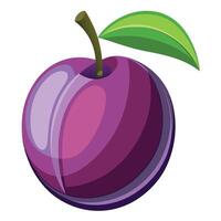 a purple plum fruit with a green leaf it vector