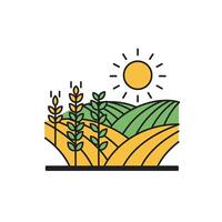 A field with wheat and sun on it vector