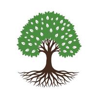 A tree with roots and leaves on it vector