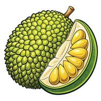 a jackfruit is cut in half and has a green skin vector