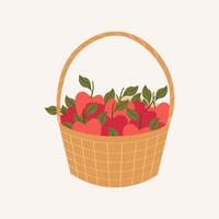 Illustration Apples in straw basket on isolated background. Hand drawn harvest of red apples in pot. Design element for print, paper, sign, card, label. Food, seasons and nature vector