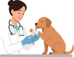 A veterinarian caring for a golden retriever puppy with a bandage in a flat, minimal style illustration vector