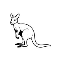 Kangaroo on White Background Australian Wildlife Animal in Isolated View vector