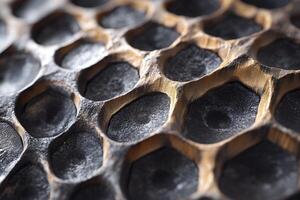 Closeup Abstract Textured Metallic Honeycomb Pattern in Black and Gold for Design and Background Use photo