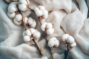 Cotton Flowers on Beige Fabric Texture for Organic Textile and Nature Background photo