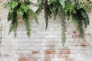 Hanging Green Fern Plants Against White Weathered Brick Wall for Rustic Decor Ideas photo