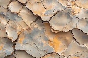 Cracked Dried Earth Texture with Orange and Gray Tones in Natural Sunlit Environment for Background photo