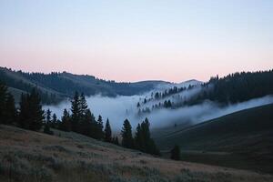 Misty Forested Mountain Valley During Sunrise with Rolling Hills and Pastel Sky photo