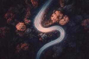 Aerial View of Winding Road Surrounded by Autumn Trees in Serene Forest During Golden Hour photo