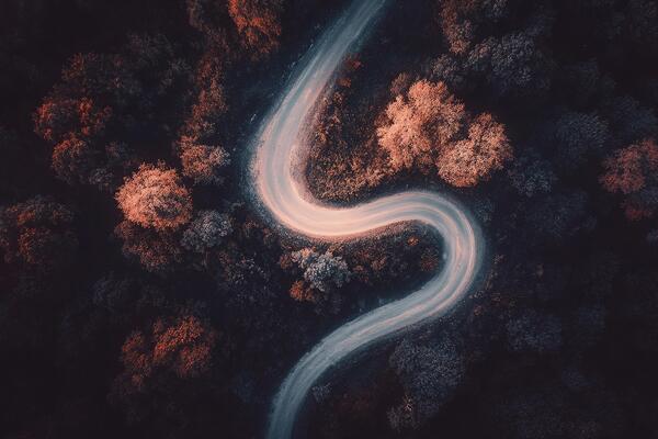 Aerial View of Winding Road Surrounded by Autumn Trees in Serene Forest During Golden Hour