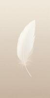 White Feather Floating Against Minimalist Beige Background Symbolizing Lightness and Tranquility photo