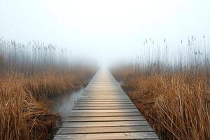 Misty Wooden Walkway Surrounded by Golden Brown Marsh Grass in a Serene Foggy Wetland Landscape photo