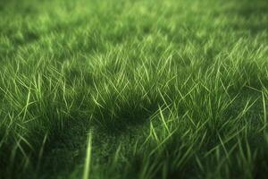 Fresh Lush Green Grass Field With Soft Focus and Natural Texture for Outdoor Nature Background photo