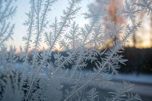 Frost on the window of a car photo