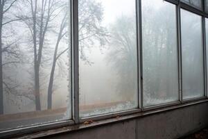 A window with a foggy view of trees photo