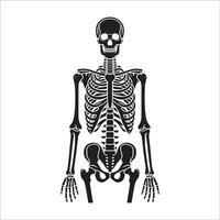 Human skeleton isolated on white background vector