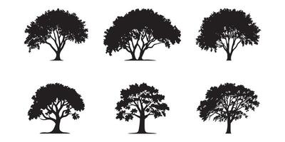 Classic Tree Shape Illustration set on white background vector