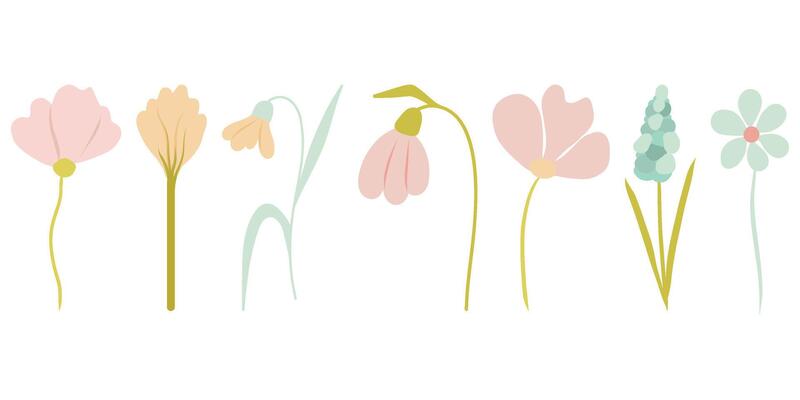 Wildflowers, flowers set, for greeting card, invitation and other printing design