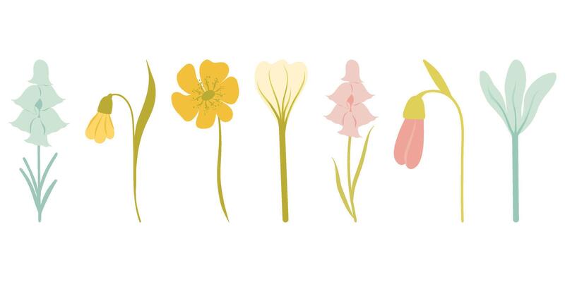 Wildflowers set, flowers for greeting card, invitation and other printing design