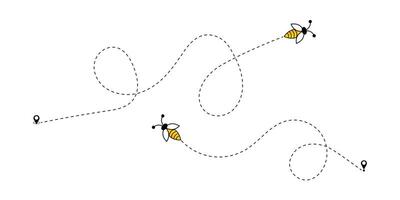 Bees on a Dotted Flight Path on a White Background. Flying Bees Path. vector