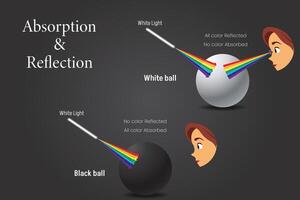 Absorption And Reflection Understanding Light Interaction with Different Surfaces vector