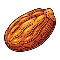 cocoa pod isolated white background , illustration vector