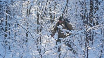 en person navigerar genom en snöig skog, bär en ryggsäck och vinter- klädsel. de träd är överdragen i vit snö, skapande en lugn vinter- landskap. video