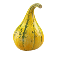 A Yellow Squash On A Transparent Background. png