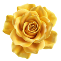 Yellow Rose On Transparent Background. png