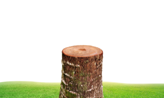 An old tree stump with a grassy field in the background transparent. png