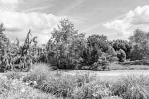 Big Garden in germany photo
