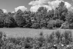 summer time in a german park photo