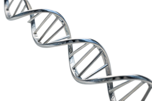 Close-up focus on the metallic DNA helix, emphasizing the intricate rungs and the seamless curve of its silver-like structure png