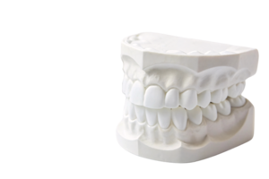 Minimalist white dental cast showcasing molars and enamel ridges. Designed for scientific analysis or display, emphasizing dental structure png