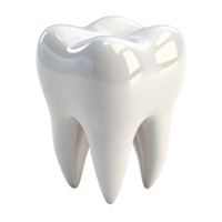 A 3D-rendered molar with its crown and four roots visible, showcasing the tooth anatomy in a glossy, realistic finish png