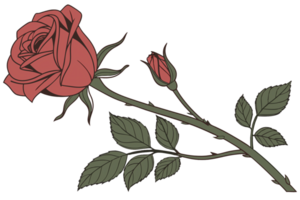 A stylized rose drawing, showing an alternate perspective with pink flowers and green foliage, emphasizing a botanical theme png