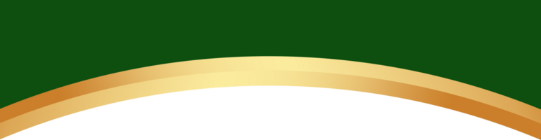 Border shape for banner design. Green header with golden line. Abstract bottom background for web page. Curved divider template. Wavy horizontal separator png