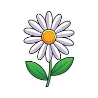 A daisy with a yellow center on a white background vector