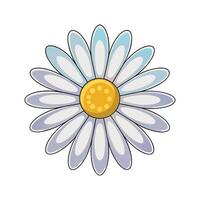 A daisy flower with a yellow center on a white background vector