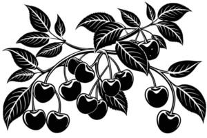 Black and white illustration of a branch of cherries and leaves. vector