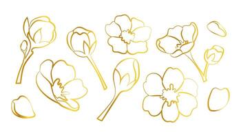 Sakura. Cherry blossom flowers, buds and twigs in gold gradient. Line illustration of spring flowers and trees on white background. vector