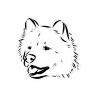 Head of a guard dog thai bangkaew sketch vector