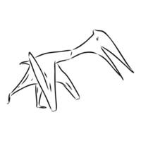 flying dinosaur azhdarchid hand sketch vector