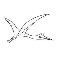 Flying dinosaur azhdarchid black and white sketch vector
