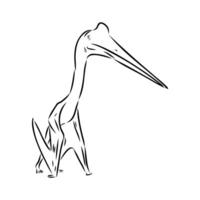 Flying dinosaur azhdarchid drawing vector