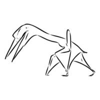Dinosaur azhdarchid black and white sketch vector