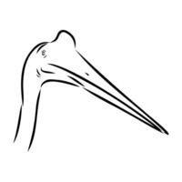 dinosaur azhdarchid handmade drawing vector