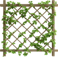 A wooden lattice with ivy growing on it png